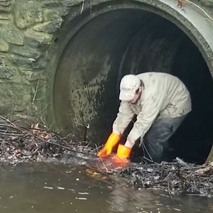 293K views · 4.5K reactions | “BEAVERS BLOCKADE FAILS” Beaver Dam Removal Restores Flow To River | F C M | Facebook