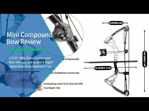 Mini Compound Bow Review #archery #arrows #boxing #bowhunting #hunting #huntingdoor