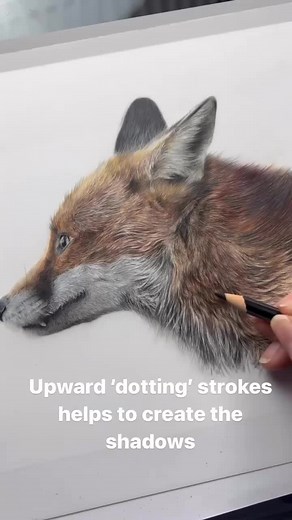 Bonny Snowdon on TikTok