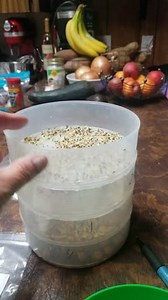 Watch Kitchen Crop is the best! I love the sprouting trays! on Amazon Live