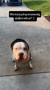 Every single person who abuses dogs should get the same treatment back to them. 👊#dogsofinstagram#dogstagram#n8tivedogfather#fyp#explore#explorepage | The N8tive Dogfather