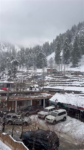 Live snowfall start in Paloga valley #explore #tourism #unfrezzmyaccount #snowfalling🥶🌧 #kalamvalley