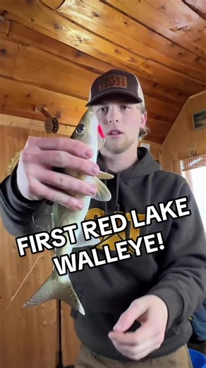 FIRST RED LAKE WALLEYE OF THE TRIP! #redlake #minnesota #icefishing #walleye #walleyefishing