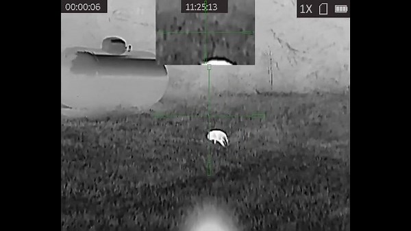 Watch AGM Rattler TS25-384 Thermal Imaging Scope on Amazon Live