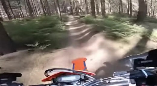 7.7K views · 11 reactions | Biker’s Helmet Cam Captures Terrifying Bear Encounter in the Woods! | Damian Francis | Facebook