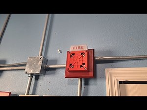 Notifier Fire Alarm System Test 23 (Wheelock 7002T-24)