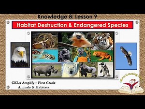 Knowledge 8 Ls 9 Habitat Destruction and Endangered Animals