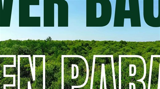 Para el MAR 2025 BMA Finalist: Bauang Bakawan Eco-Tourism Park, La Union 🌱 Where mangroves meet mindful tourism—Bauang brings eco and community together! #BestMangroves #ParaElMAR2025 | Marine Protected Areas Support Network