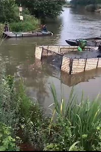 Joy at work | Strange Nature