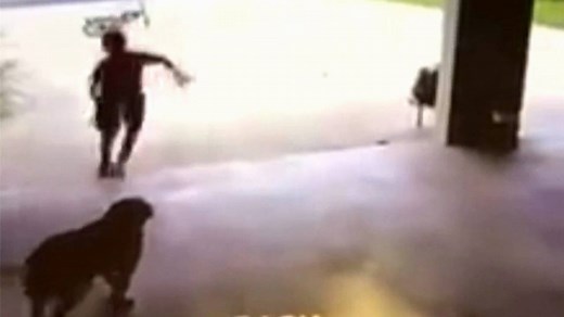 WATCH: This video made us smile… then it made us tear up! http://on.today.com/1OespyX | Today Show