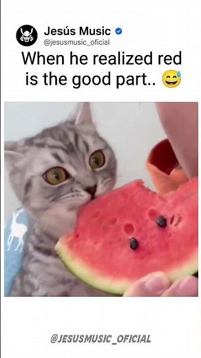 Kitty Finally Found the Good Part 🍉😂 | #shorts