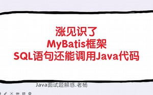 MyBatis框架的SQL语句调用Java代码？