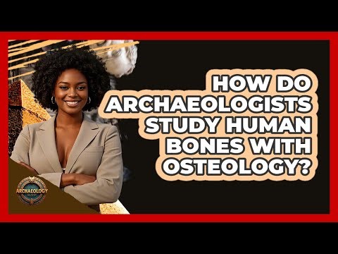 How Do Archaeologists Study Human Bones With Osteology? - Archaeology Quest