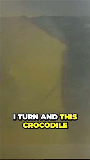 Craziest encounter with a giant crocodile caught on camera!