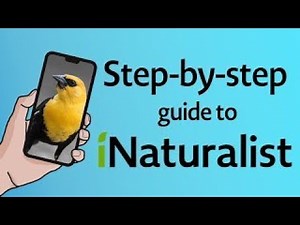 How to use iNaturalist