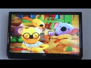 The Koala Brothers Fun