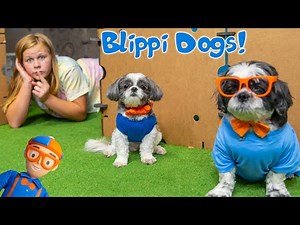 Assistant and Blippi Dogs Wiggles and Waggles Play Hide N Seek