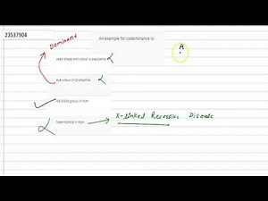 An example for codominance is: