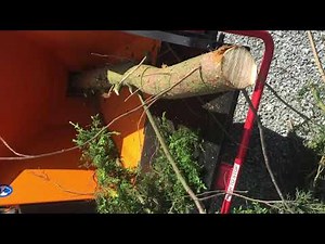 Forst ST6P Petrol Wood Chipper Demo By TH Tree Services