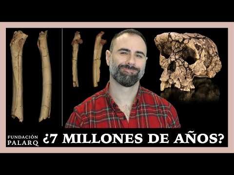 ¿Cuándo empezó el bipedismo humano? Las pruebas fósiles que reabren el debate