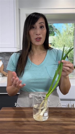 4.9K views · 32 reactions |  Never buy green onions again! Try this regrowing hack for an endless supply 暈 #lifehack #kitchenhacks #greenonion | Jessica Gavin | Facebook