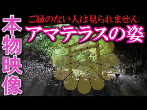 ⚠️神回※アマテラス様が降臨しました ※もし逃したら二度とありません※お姿を見られた人超強運！次々と良いことが起こり始めます｜高千穂・天岩戸神社西本宮遠隔参拝474