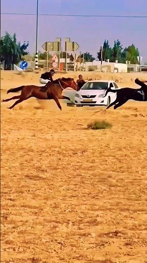 Thrilling Desert Horse Race | Speed, Power & Determination