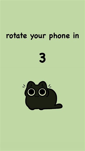 Funny Black Cat Animation with Green Screen | Silly Cat Cartoons