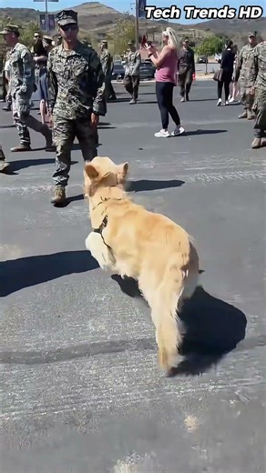 Dog welcomes soldier back.. ! #surprise #familylove #comingback