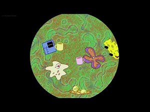 Spongebob Squarepants - Sandy Cheeks, Mrs Puff, Karen And Everyone As Amoebas