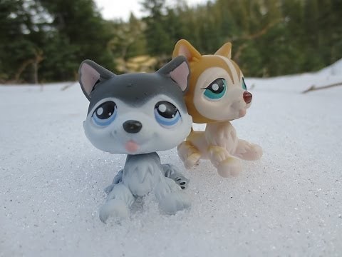 LPS: Wolves Ignite: Episode 1: Think Before You Dream