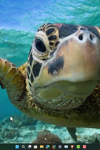 Keyboard Numeric Keys not Working in windows 11