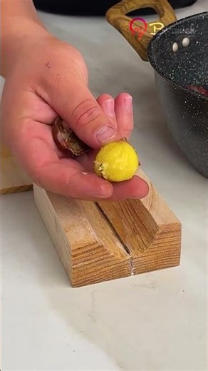 Creative chestnut opener jig #simple #quick #chestnut #opening