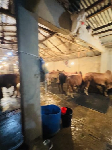 Chauddagram: Explore the Heart of Comilla