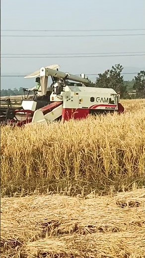 New paddy cutting machine