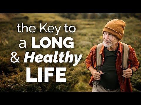 Healthy Longevity: A Geriatrician's Perspective