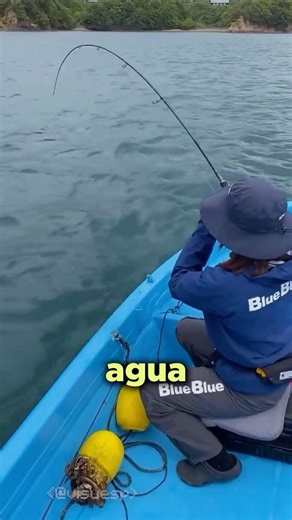 Por qué los pescadores le tienen miedo a esto?