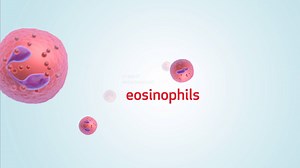 Approximately 50% of patients with #severeasthma have eosinophilic asthma – or e-asthma – which is caused by elevated levels of eosinophils in the lungs that can cause airway inflammation which can make it difficult to breathe. Oral steroids are often prescribed to help asthma patients breathe better because they’re fast-acting and inexpensive, but their long-term use can come with potentially serious health risks. Learn about other treatments that target certain types of severe asthma – includi