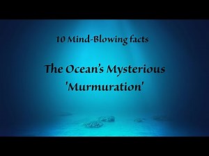 "10 Mind-Blowing Fish Murmuration's!" facts
