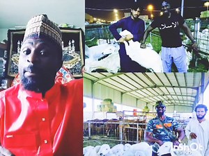 3.4K views · 108 reactions | HAJJ 2024. CAN YOU SLAUGHTER YOUR HAJJ SACRIFICE ANIMAL IN YOU'RE HOME COUNTRY. | Peace Dawah Media | Facebook