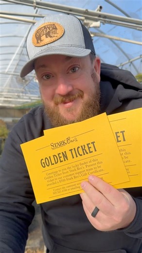 Golden Ticket Time! #fruittrees #gardening #garden #pietime #growyourownfood