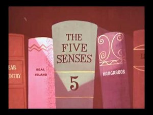 Walt Disney Productions: "You--and Your Five Senses" (1956)