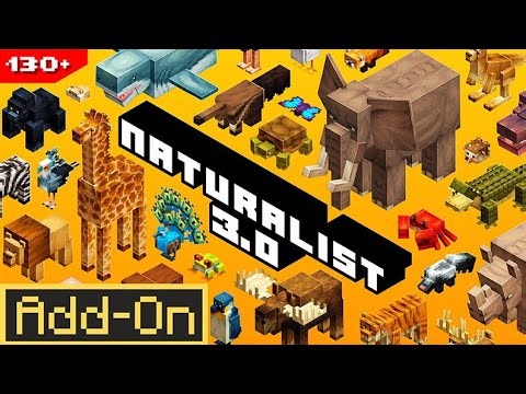 Naturalist 3.0 Animals Addon Review | Minecraft Marketplace
