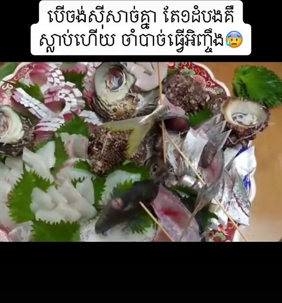 Delicious Fresh Seafood Dishes: Fish and Shellfish