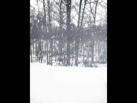 Backrooms Ambience. (Level 129)