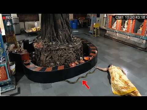 This Was A Mircale 😮😮 | See How A Lady Saved By The God