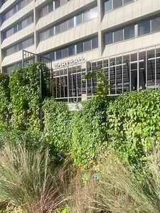 Frank & Andrea on Reels