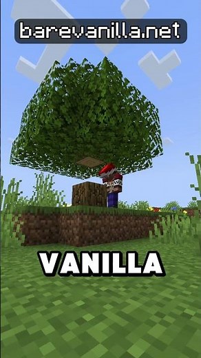 Minecraft Anarchy Server!