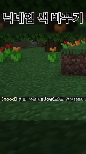 닉네임 색 바꾸는 방법 #마인크래프트 #명령어 #Shorts