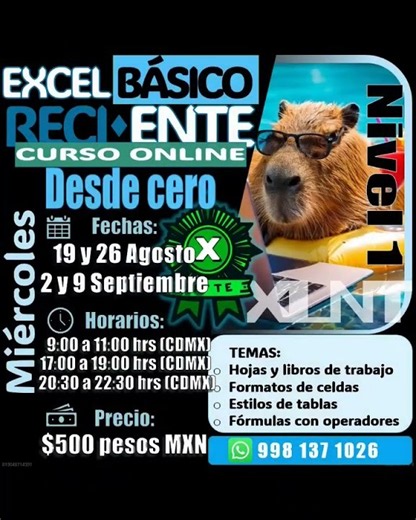 ¡Aprende Excel Básico desde Cero con 3 Horarios Disponibles! 📊🐹